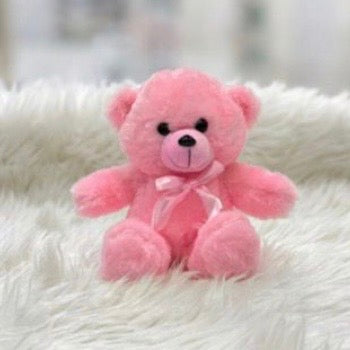 Teddy Bear Plush – 20cm #TB4048