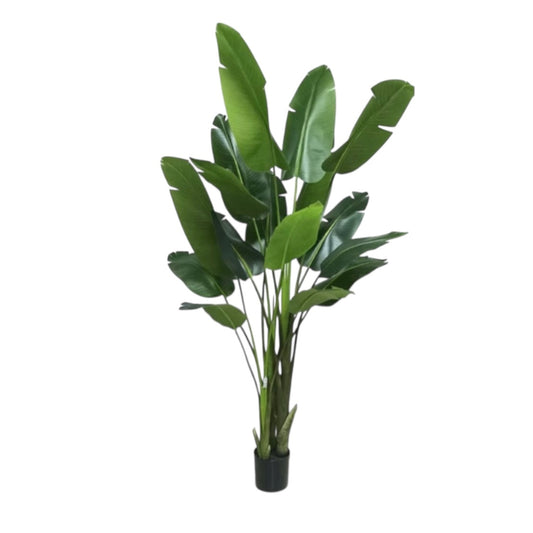 230cm Traveling Banana Artificial Tree #AT2776