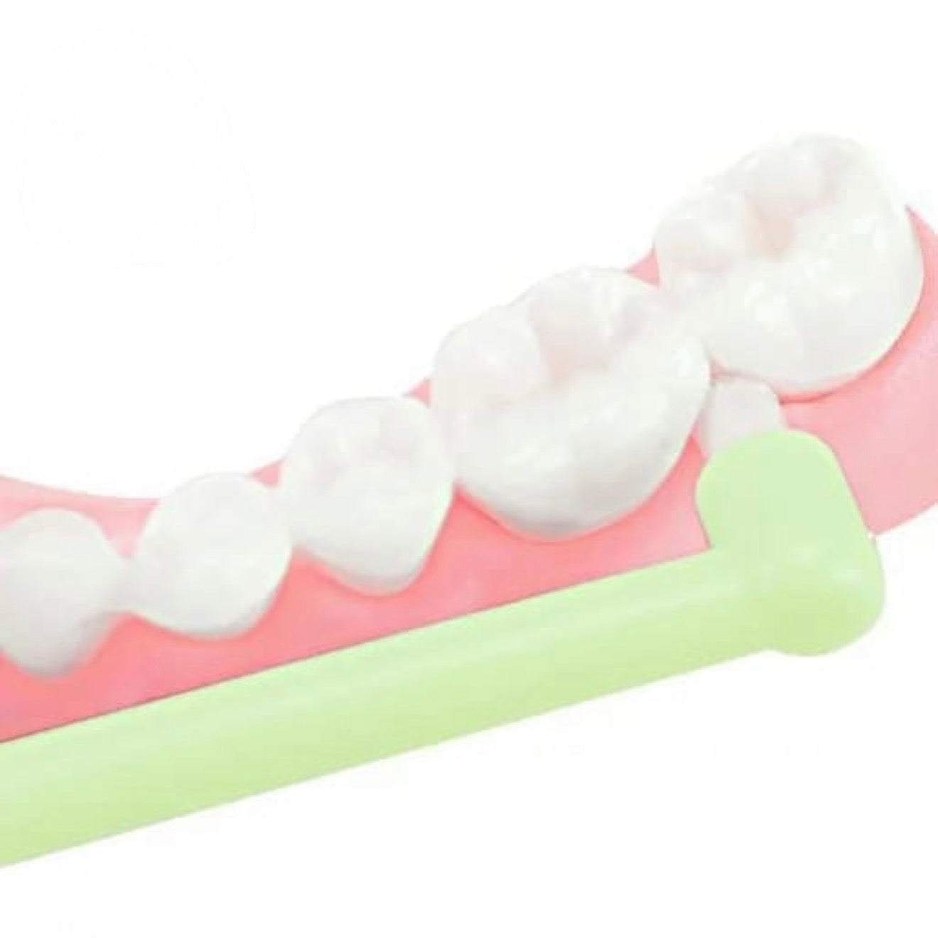 Orthodontic Oral Care Toothbrush #TF037