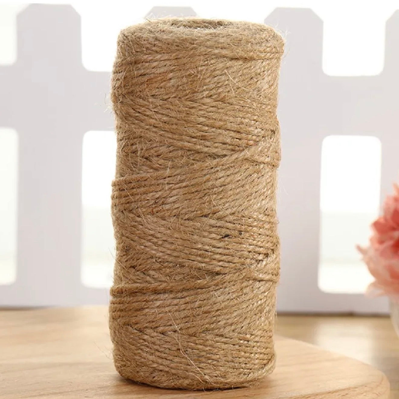 100m Natural Jute Rope Twine #JR3115