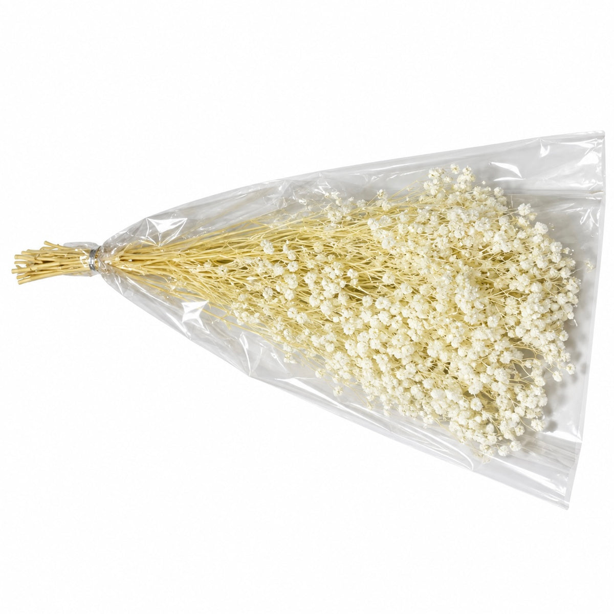 Dried Baby’s Breath Flowers #DG4200