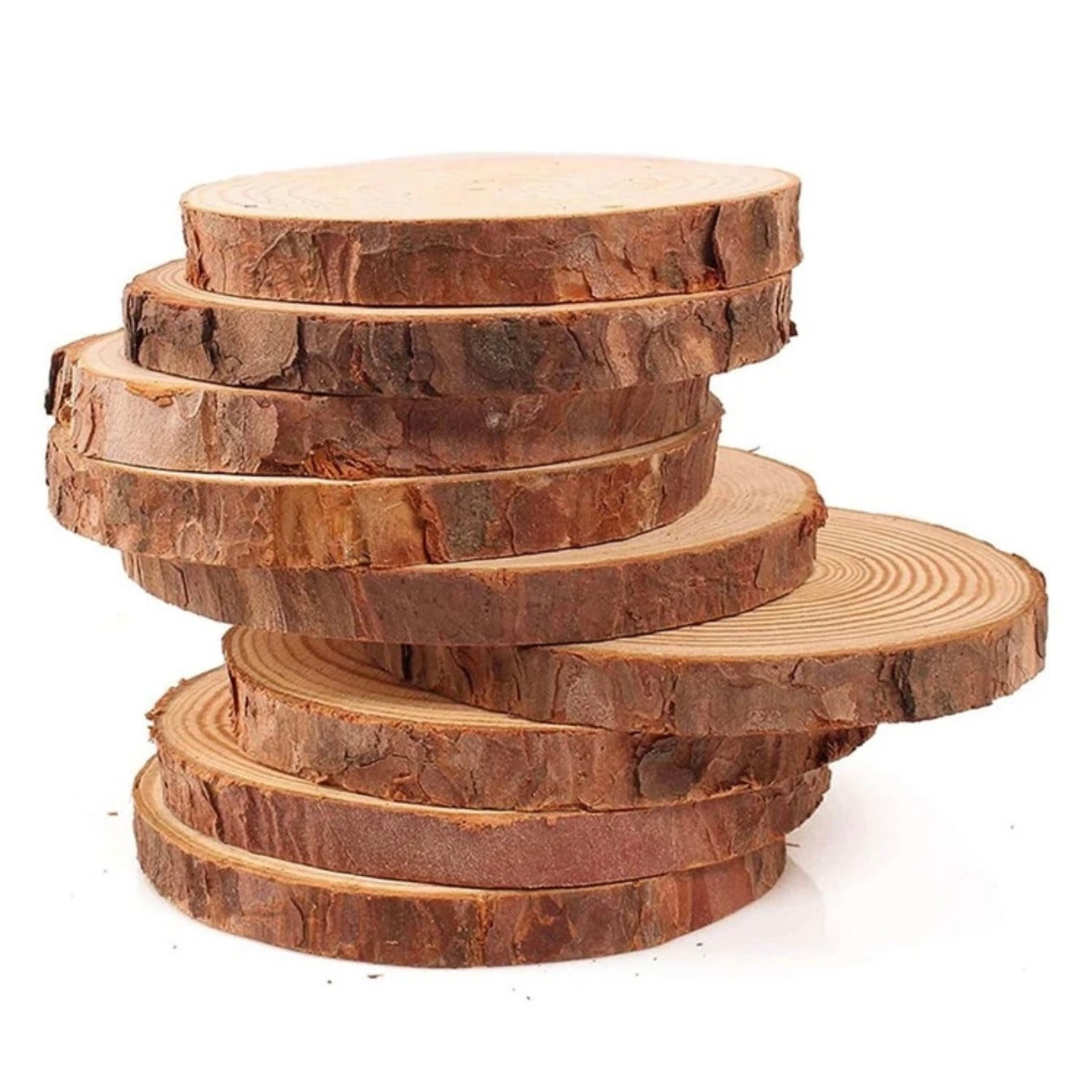 X12pcs Natural Wood Slice Coasters