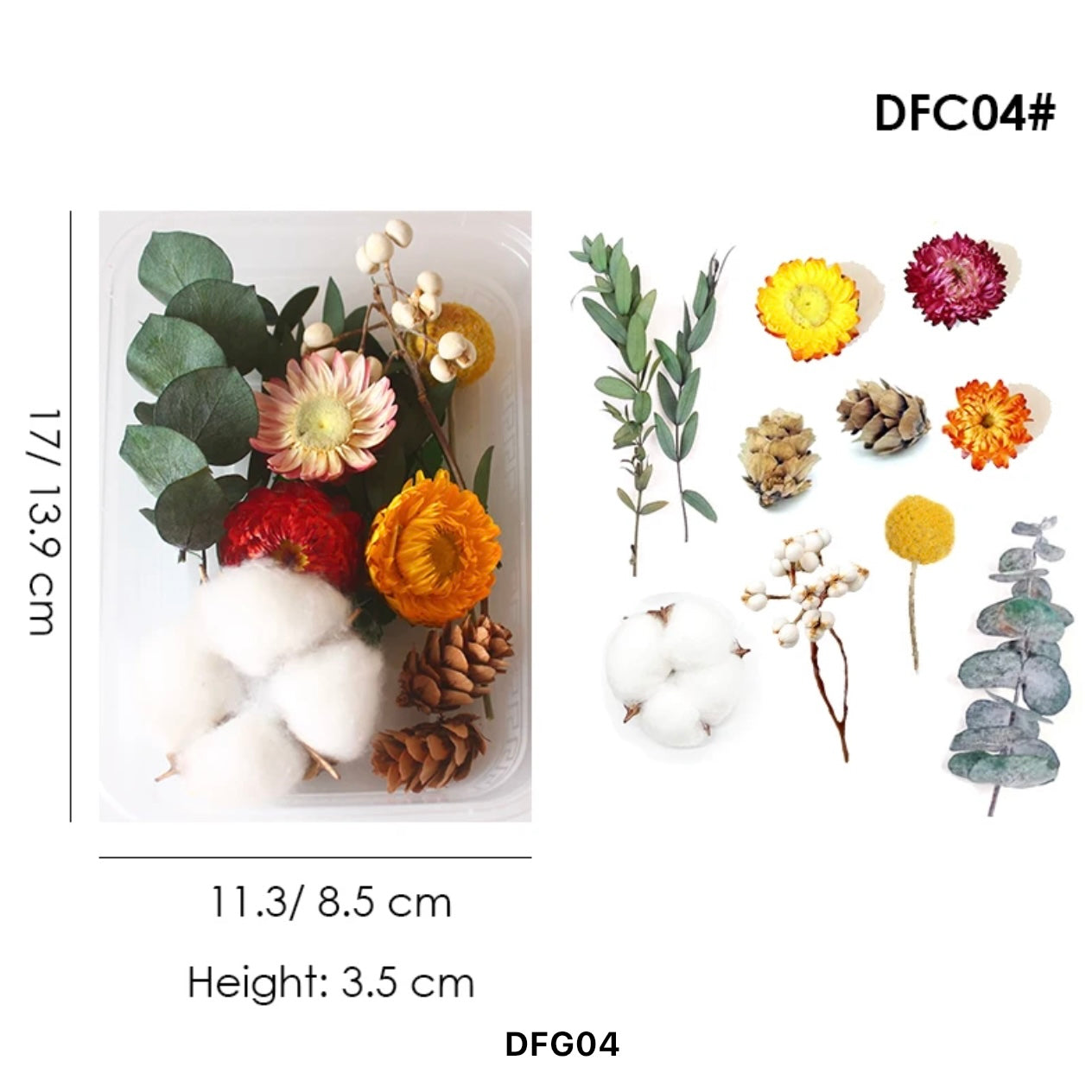 Dried Flower Set #DFG04