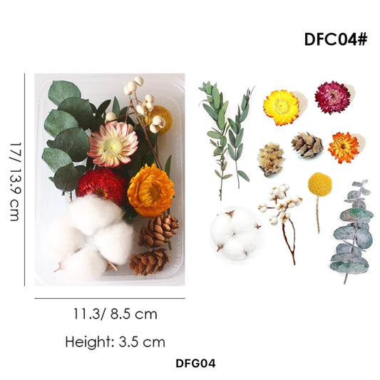 Dried Flower Set #DFG04