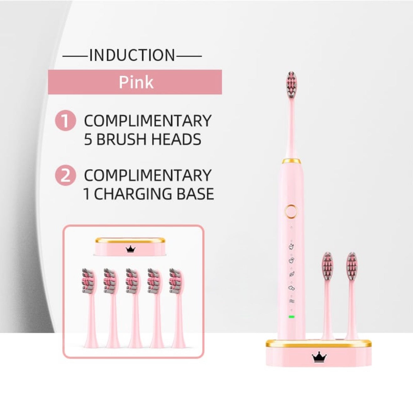 Classic Inductive Charging Electric Toothbrush #TF002
