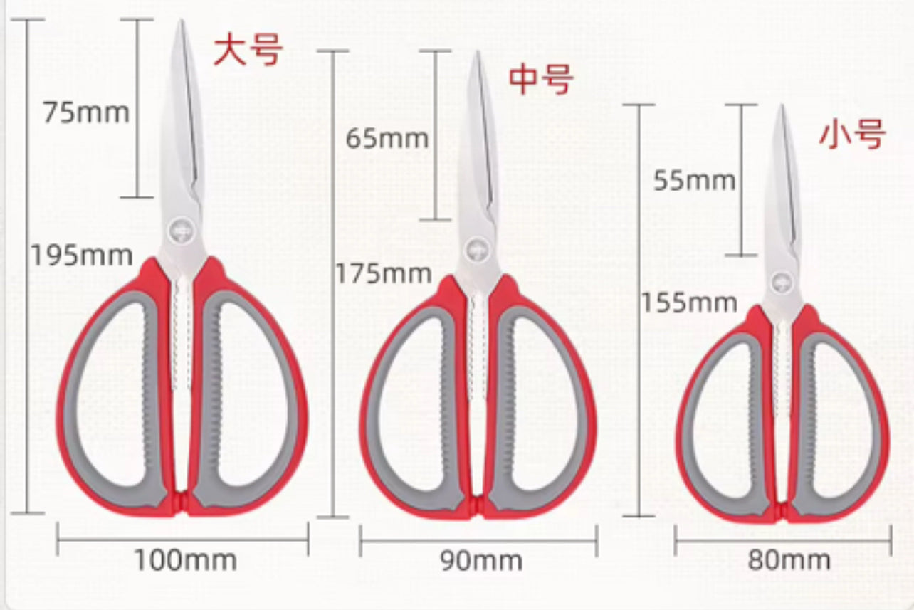 Stainless Steel Scissors #SS1644