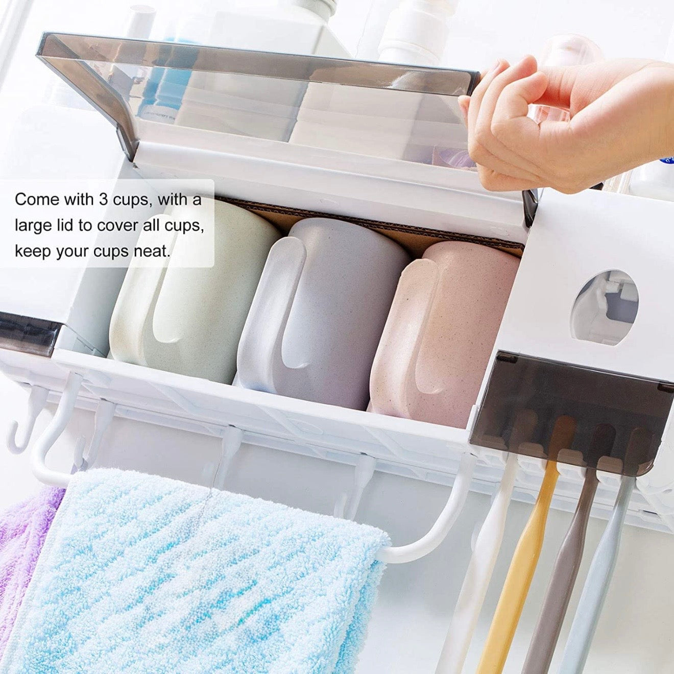 Toothbrush/Toothpaste Holder #TF027
