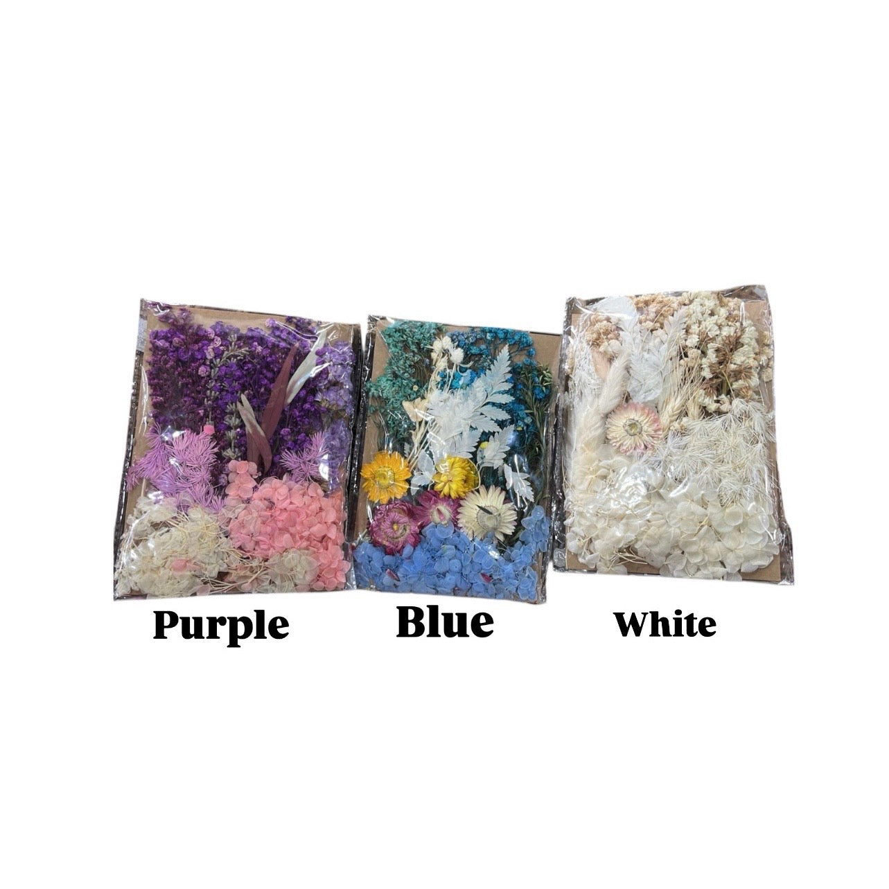 Dried Flowers Assorted Color Sets – Natural Preserved  #DF2735