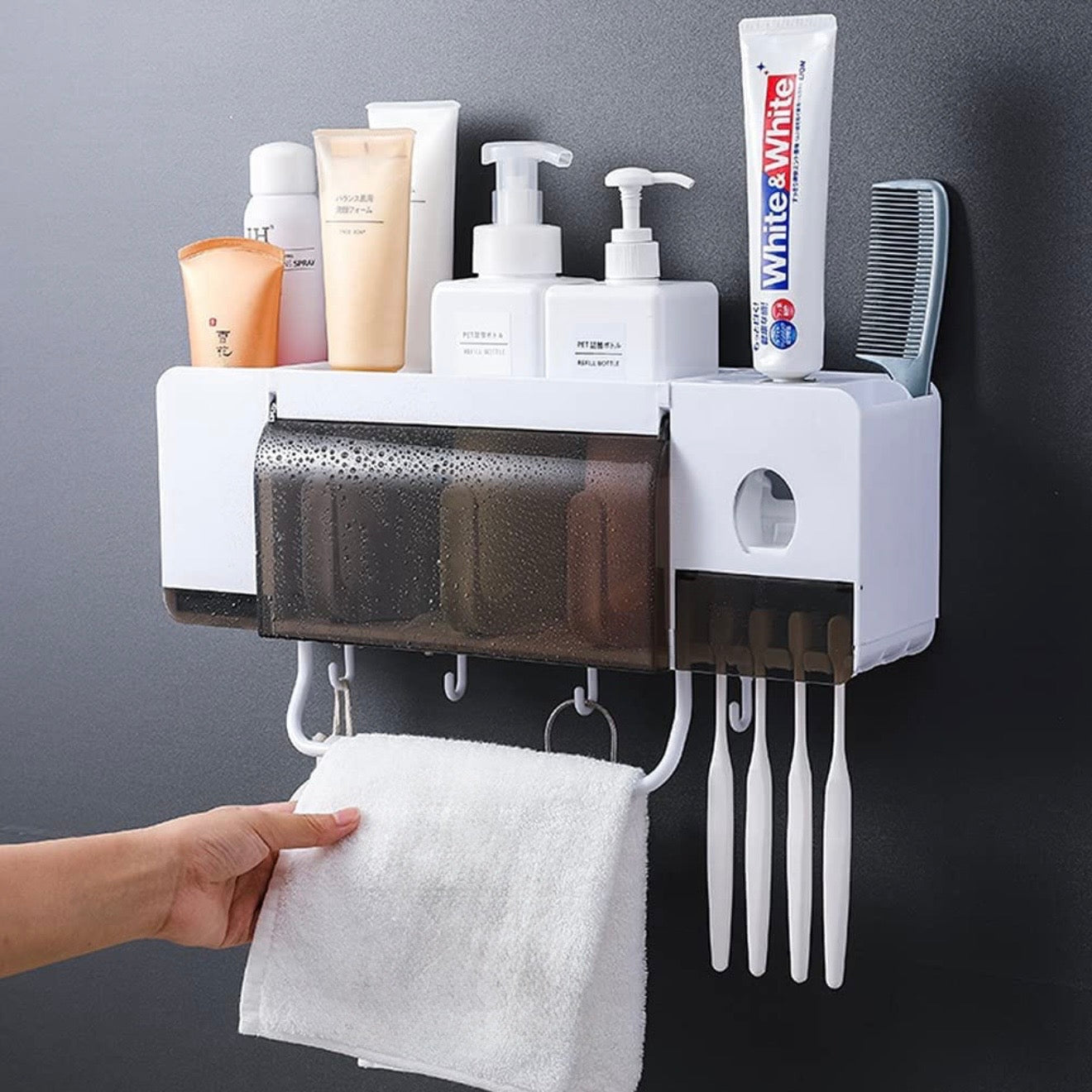 Toothbrush/Toothpaste Holder #TF027