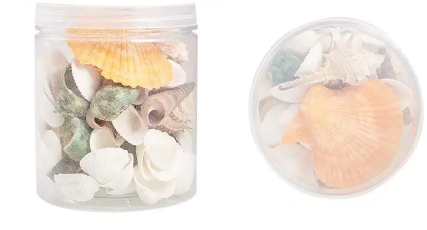 50g Natural Seashells #NS1999