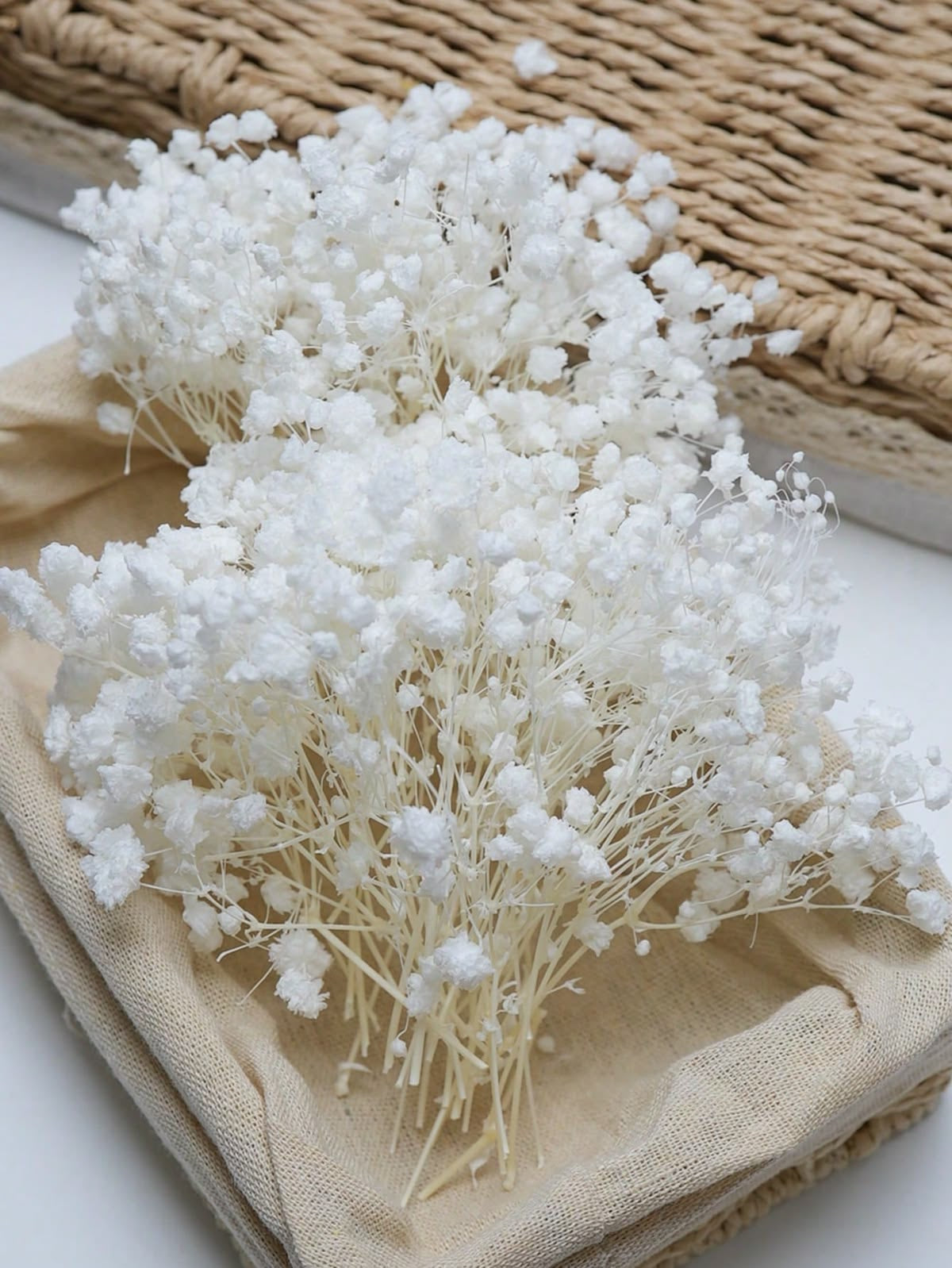 Dried Baby’s Breath Flowers #DG4200