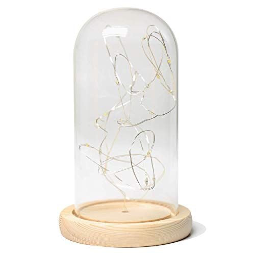 Glass Dome with Bamboo Base & Led Decor #GD2797