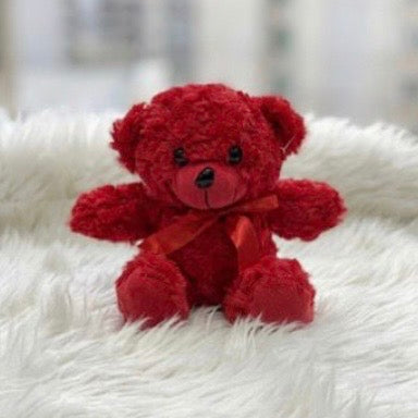 Teddy Bear Plush – 20cm #TB4048