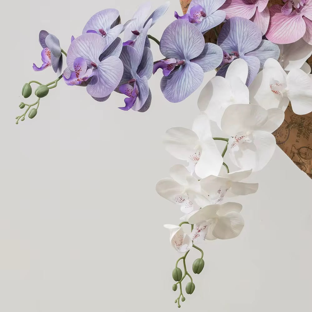 75cm Artificial Phalaenopsis Orchid Stem – Multiple Colors #AF3996