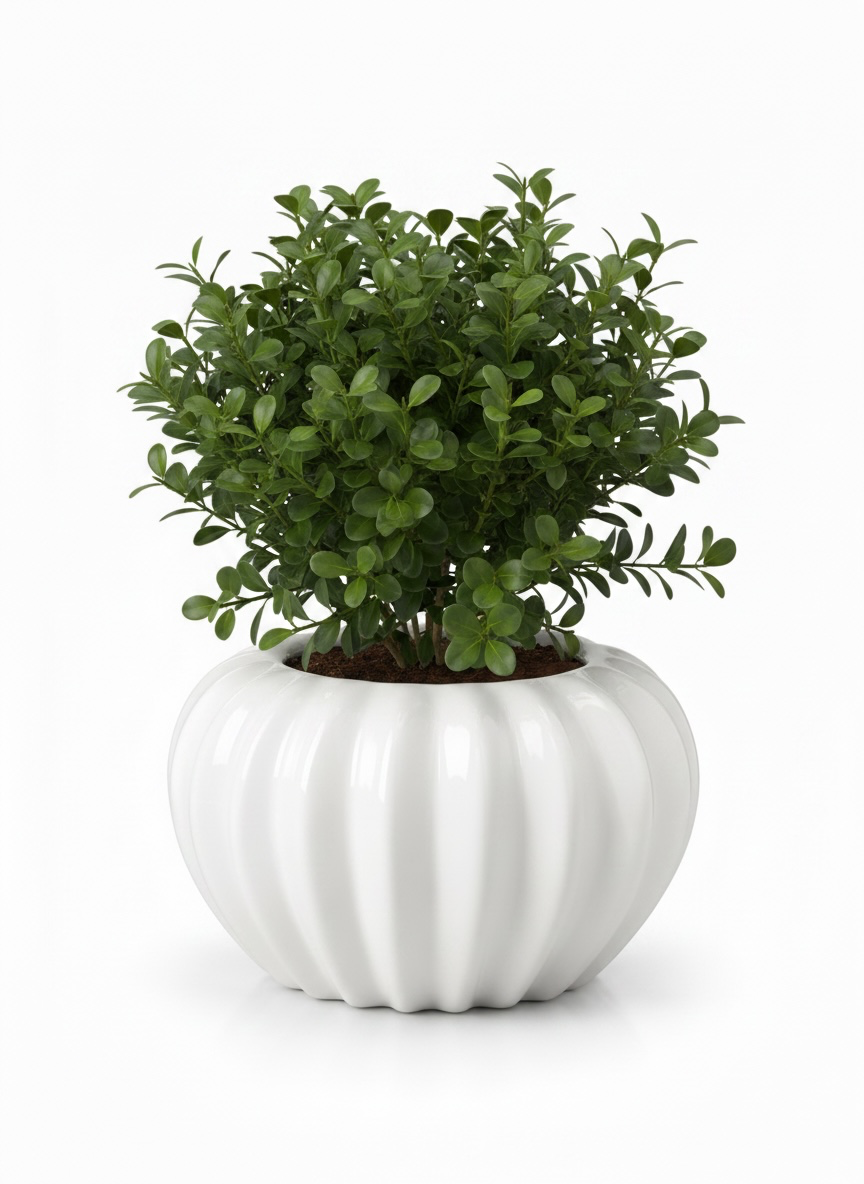 Ceramic Decorative Pot #75-2