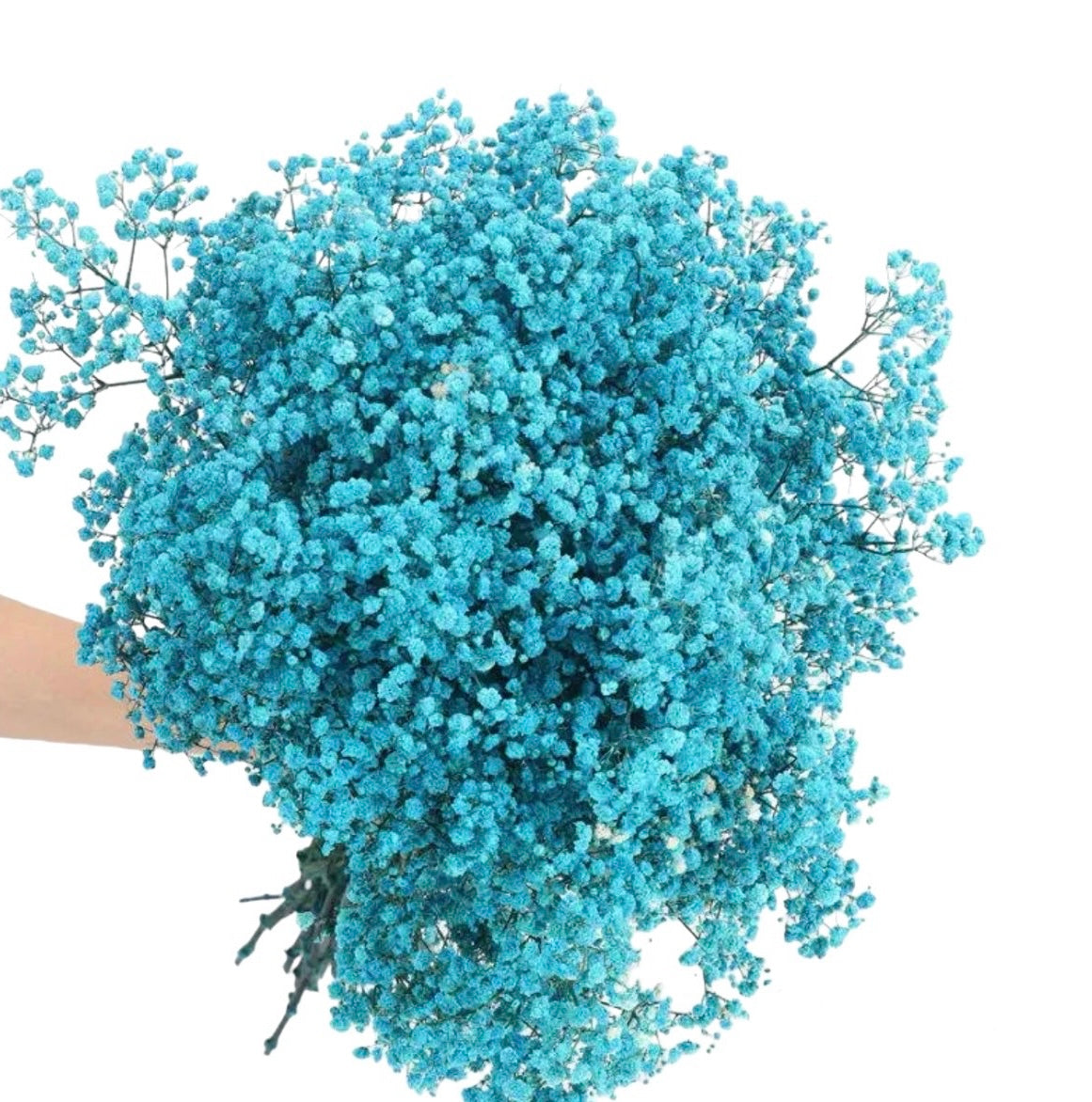Blue Gypsophila 120g #DG1178