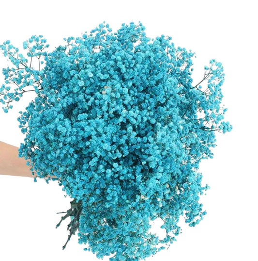 Blue Gypsophila 120g #DG1178